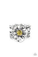 Prismatically Petunia - Yellow Rings